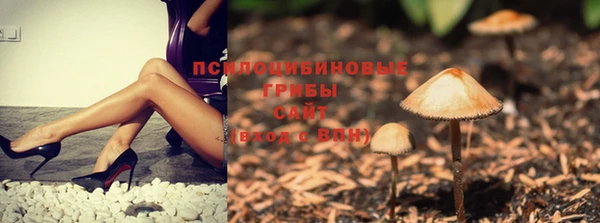 прущая мука Сясьстрой