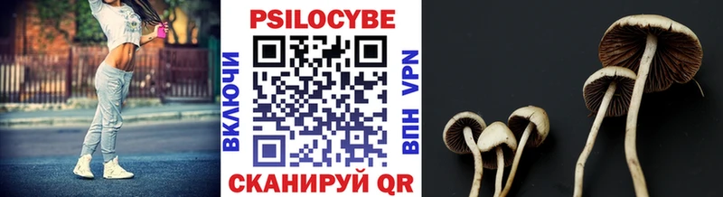 shop состав  сколько стоит  Новокубанск  Галлюциногенные грибы Psilocybe  блэк спрут зеркало 