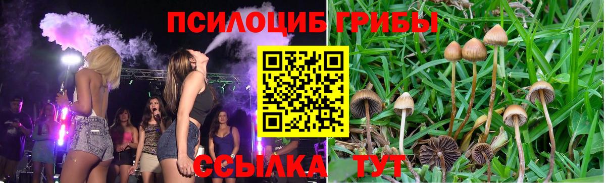 Новокубанск  закладки  Вход с VPN  Галлюциногенные грибы мицелий 
