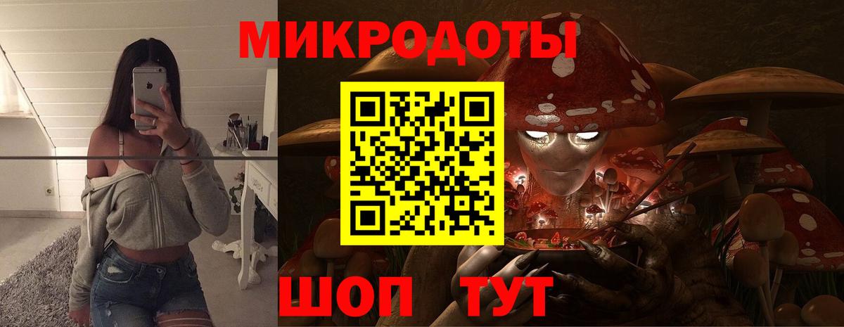 Галлюциногенные грибы ЛСД Новокубанск