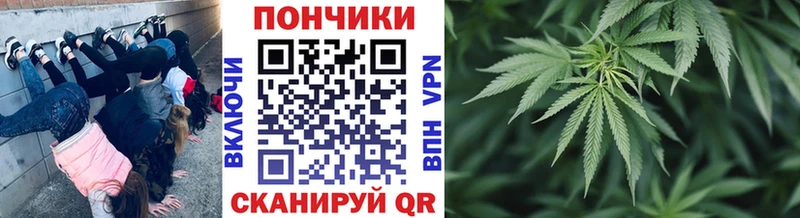 дарнет шоп  Новокубанск  Шишки марихуана THC 21% 